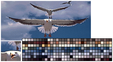 System palette versus a custom palette in GIF graphics.