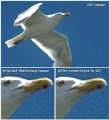 GIF compression examples.
