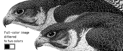Illustration: Full-color image dithered to black and white