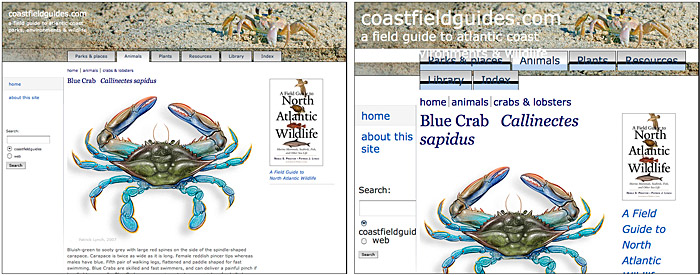 A diagram showing a fixed-width web page on the left, and the same page rendered on the right with much-enlarged text that jumbles the layout of the page.